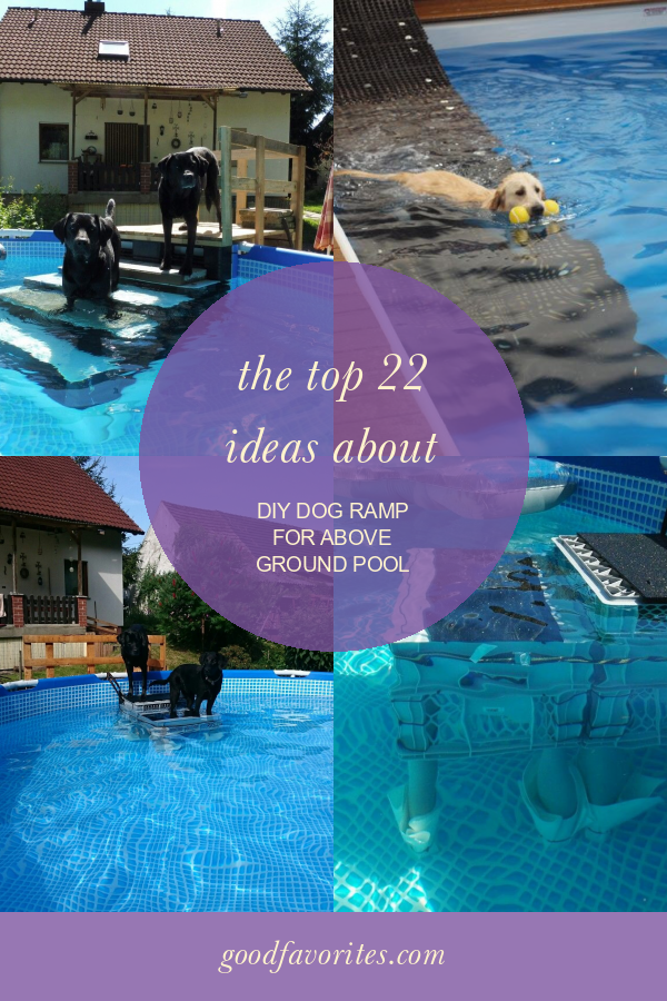 The top 22 Ideas About Diy Dog Ramp for Above Ground Pool Home